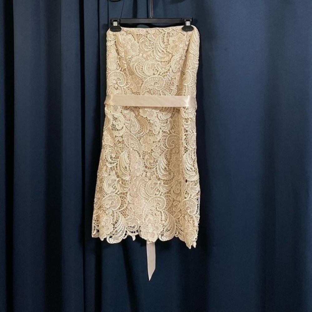 Adrianna Papell lace mini dress